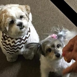 Meet your Posher, Cynthia